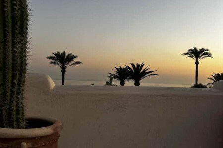 61f3f4ca f6c6 46df a592 564755ef75cd