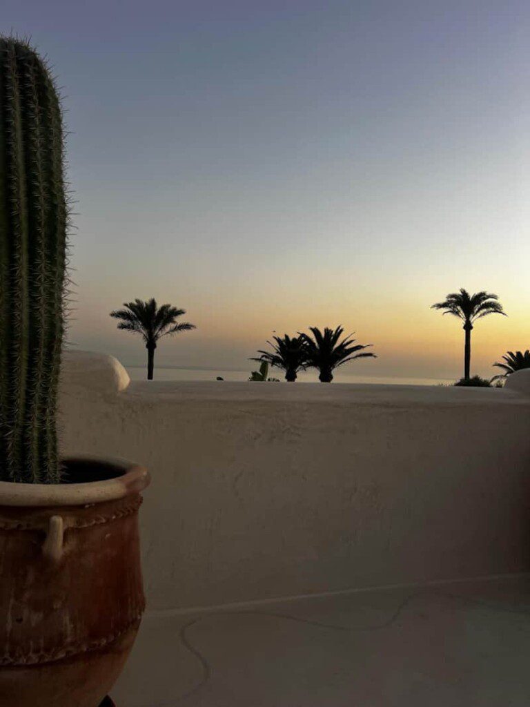 61f3f4ca f6c6 46df a592 564755ef75cd