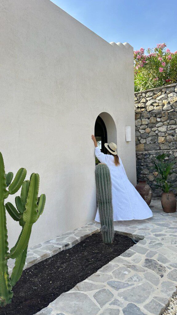 6b3b850b 772b 4b7b 948c e0760f4f7adf.jpg